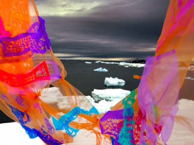 Фото Интерактивная выставка Полюса: Арктика-Антарктика
